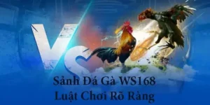 Cách Chơi Đá Gà WS168 Tại M88 Đơn Giản Hiệu Quả 4 Cách Chơi Đá Gà WS168 Tại M88 Đơn Giản Hiệu Quả