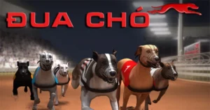 Cách Chơi Game Nhanh Đua Chó Tại M88 Chi Tiết Hiệu Quả 2 Cách Chơi Game Nhanh Đua Chó Tại M88 Chi Tiết Hiệu Quả