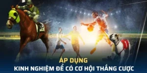 Tìm Hiểu Cá Cược Thể Thao Ảo M88 Với Trải Nghiệm Hấp Dẫn 7 Tìm Hiểu Cá Cược Thể Thao Ảo M88 Với Trải Nghiệm Hấp Dẫn